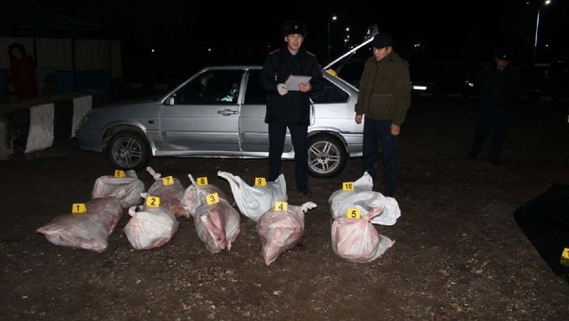В Актюбинской области задержали 5 браконьеров