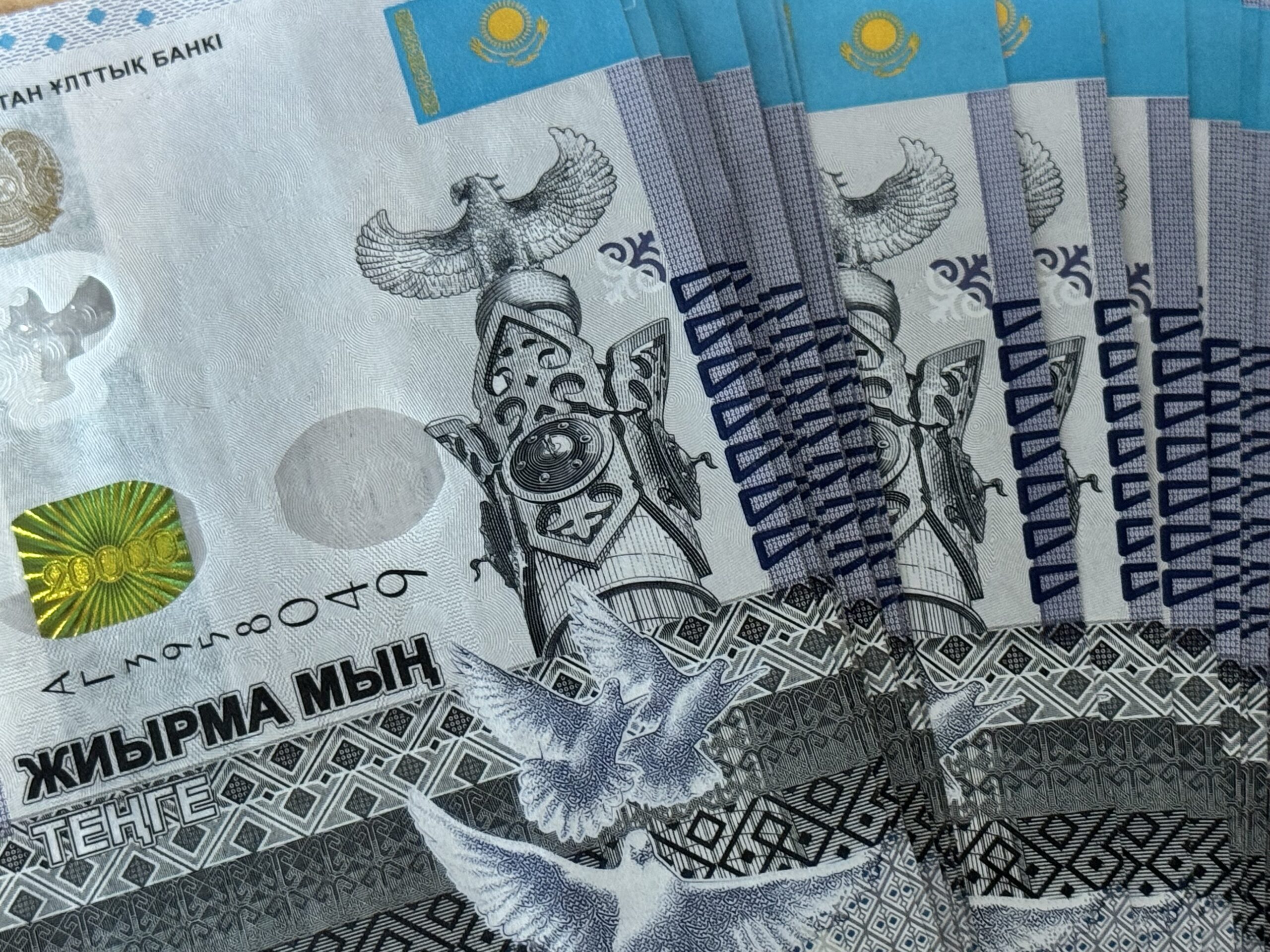  Экс-депутат маслихата получил срок за хищения в особо крупном размере